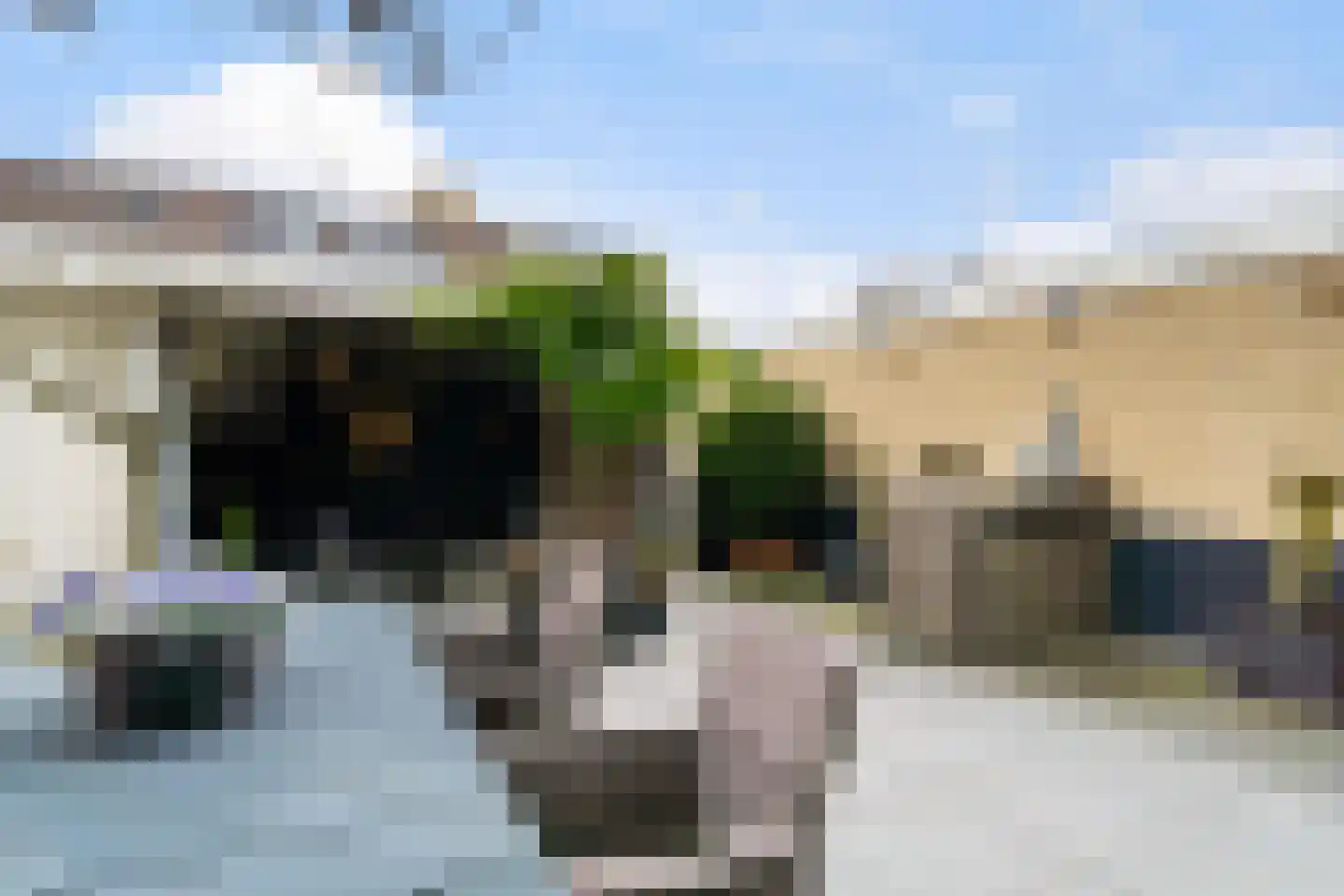 Ahornplein 1 's-Gravenzande thumbnail 30