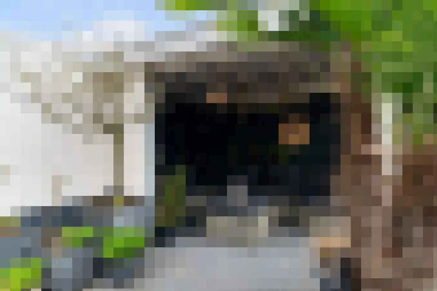 Ahornplein 1 's-Gravenzande thumbnail 32