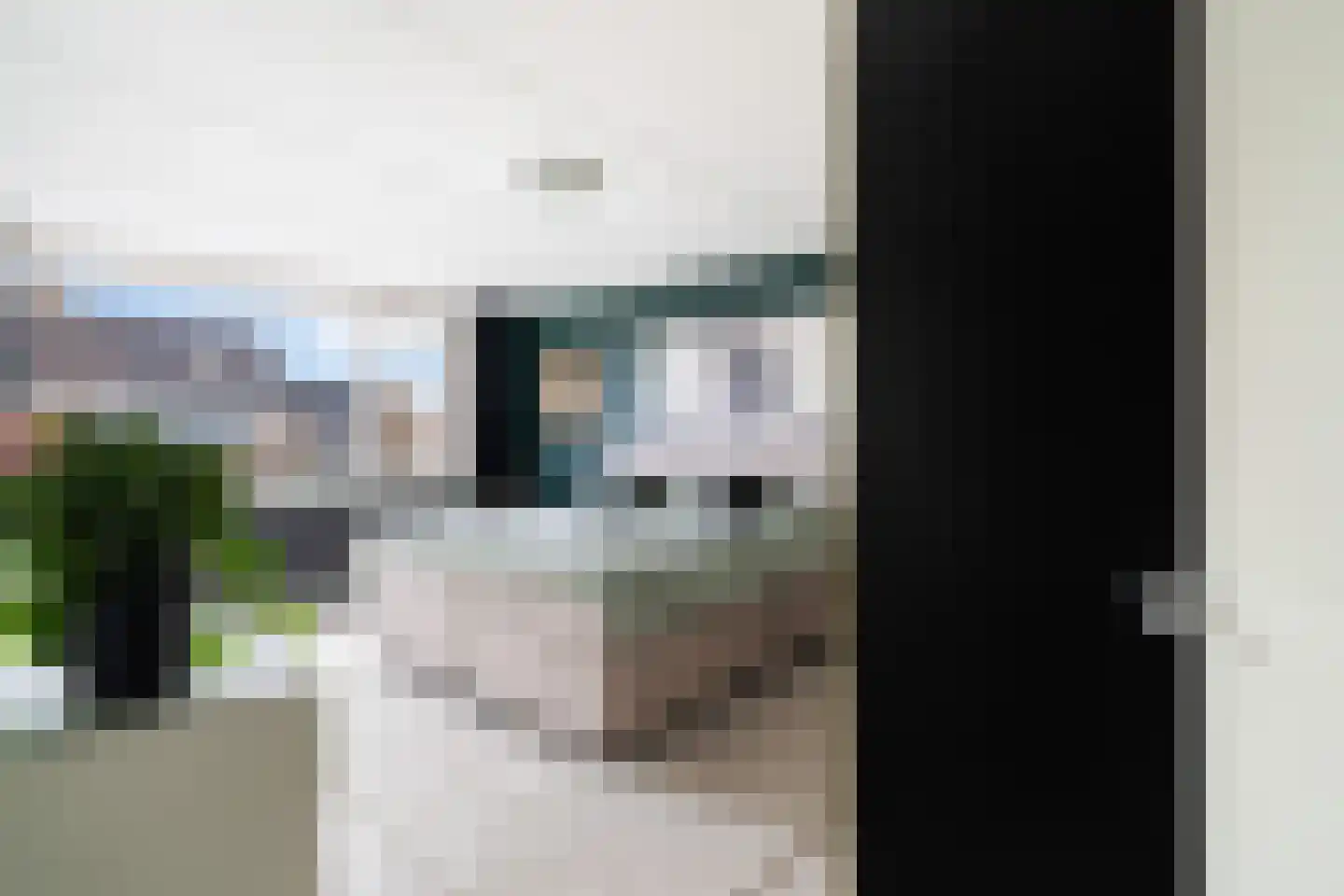 Ahornplein 1 's-Gravenzande thumbnail 43