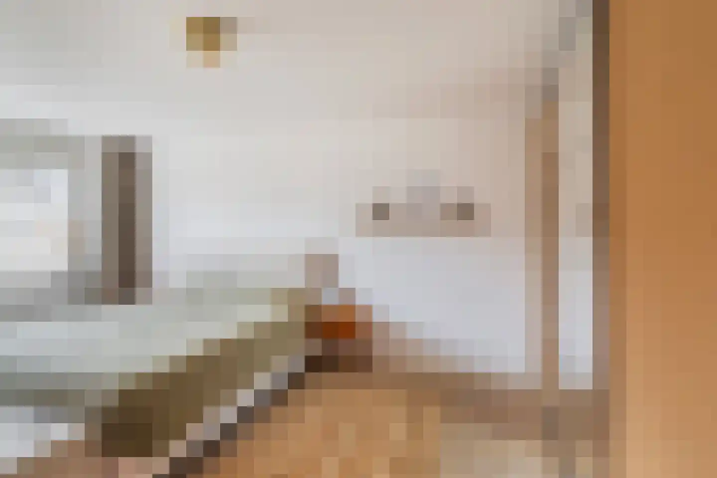 Ahornplein 41 's-Gravenzande thumbnail 19