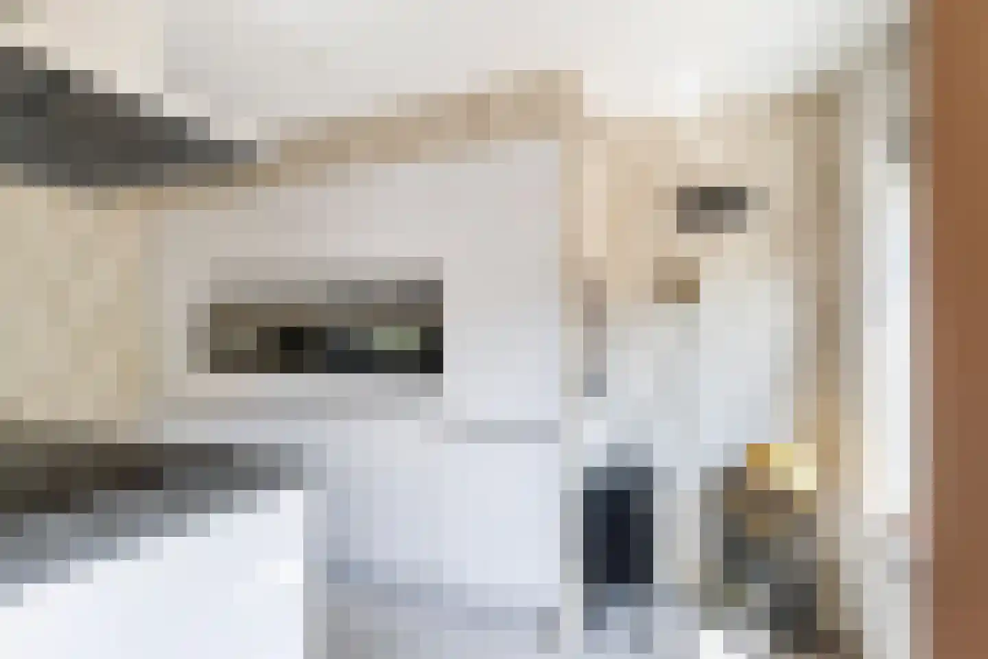 Ahornplein 41 's-Gravenzande thumbnail 9
