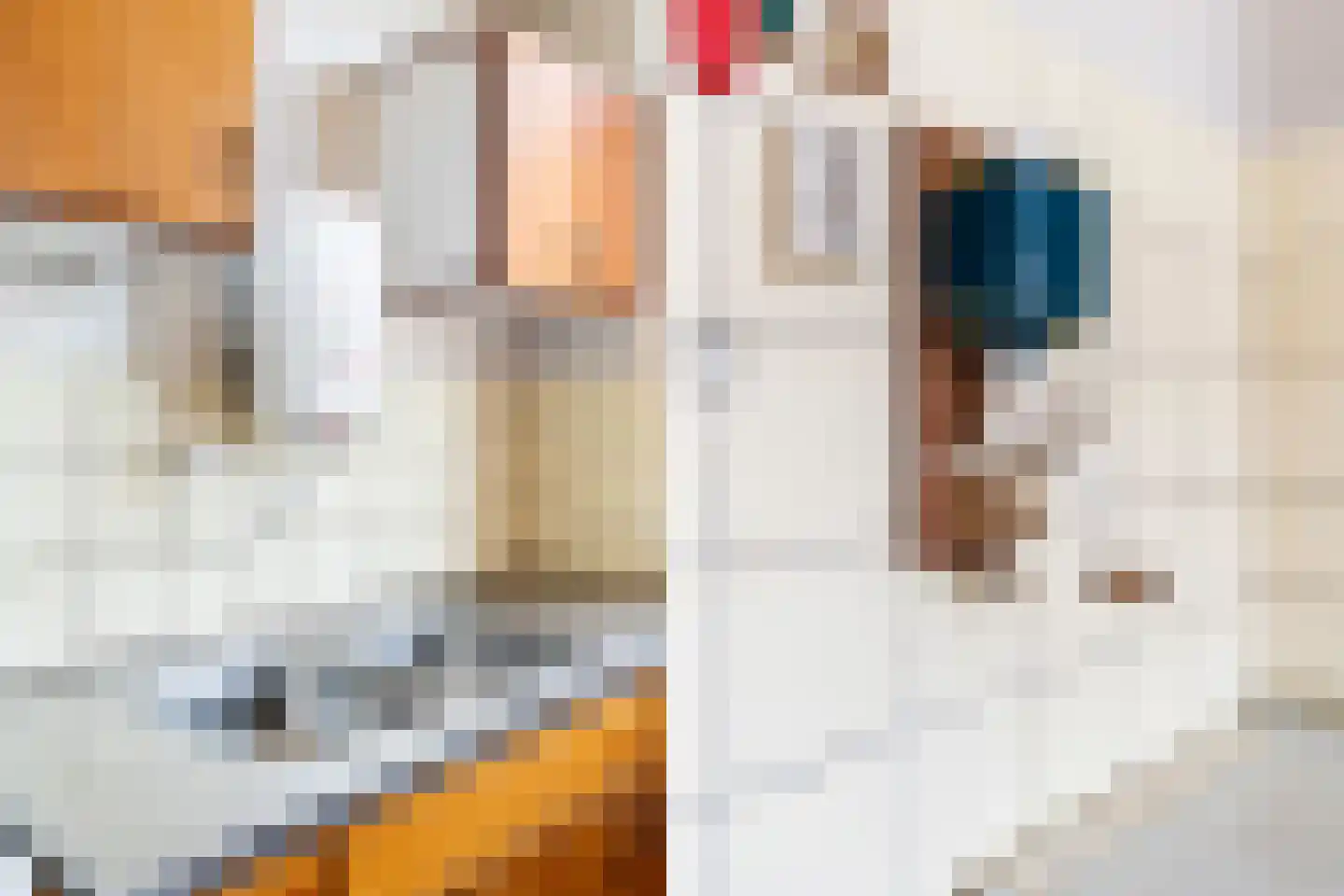 Ahornstraat 11 Monster thumbnail 17