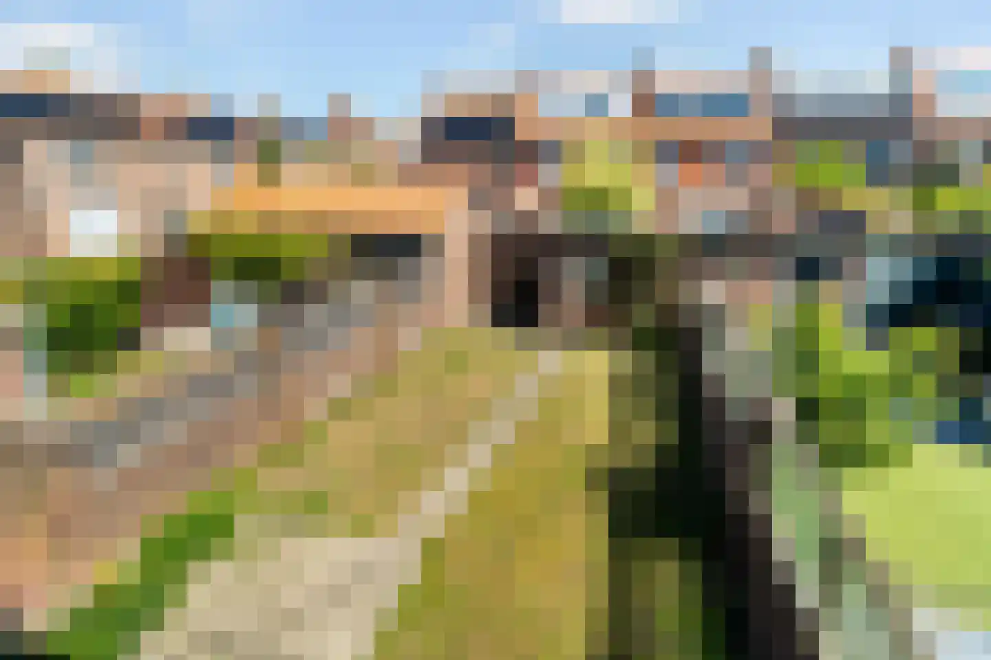 Ahornstraat 11 Monster thumbnail 21