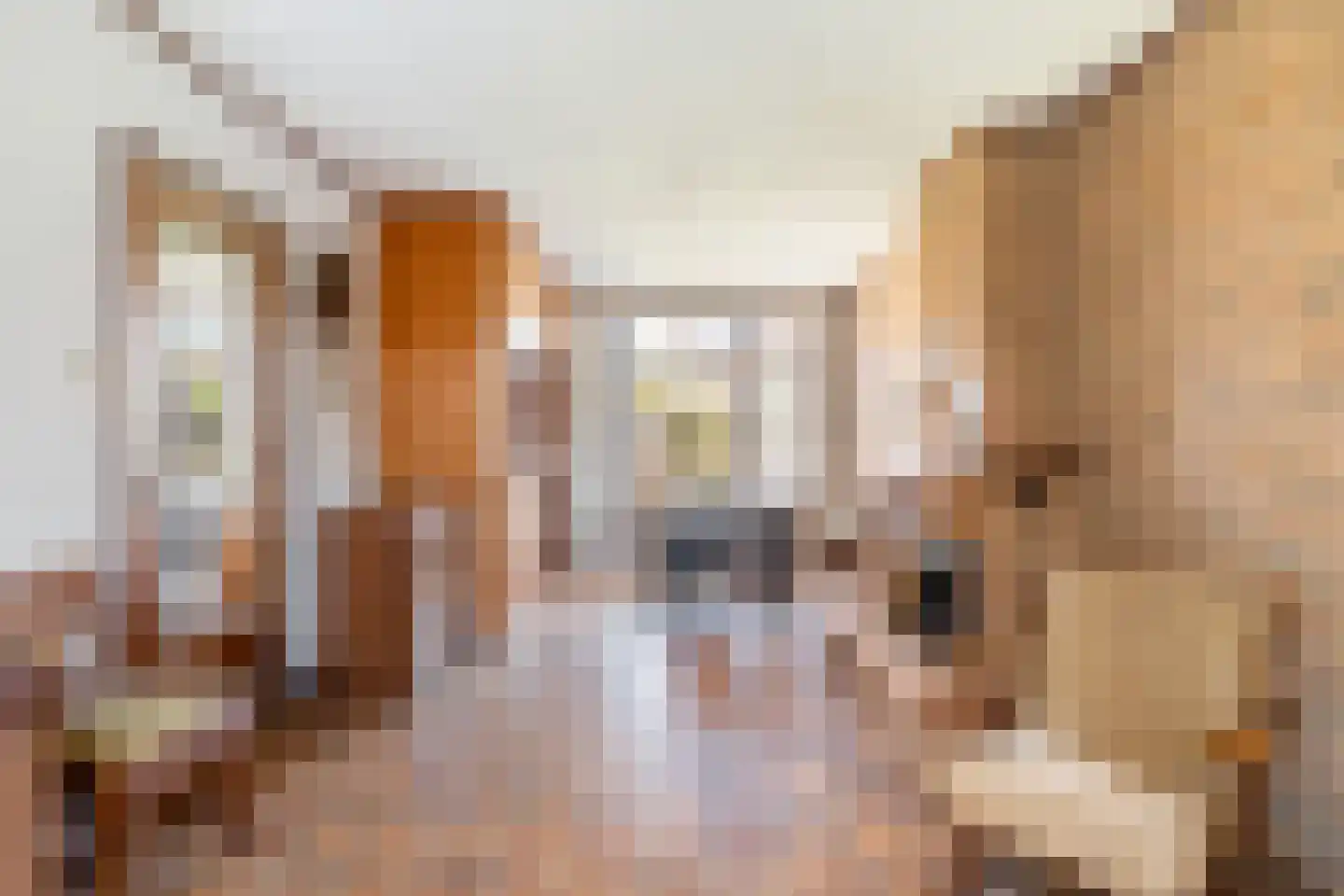 Ahornstraat 11 Monster thumbnail 9