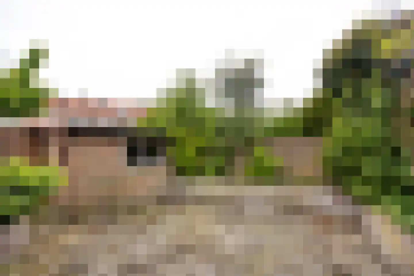 Ahornstraat 13 IJmuiden thumbnail 26