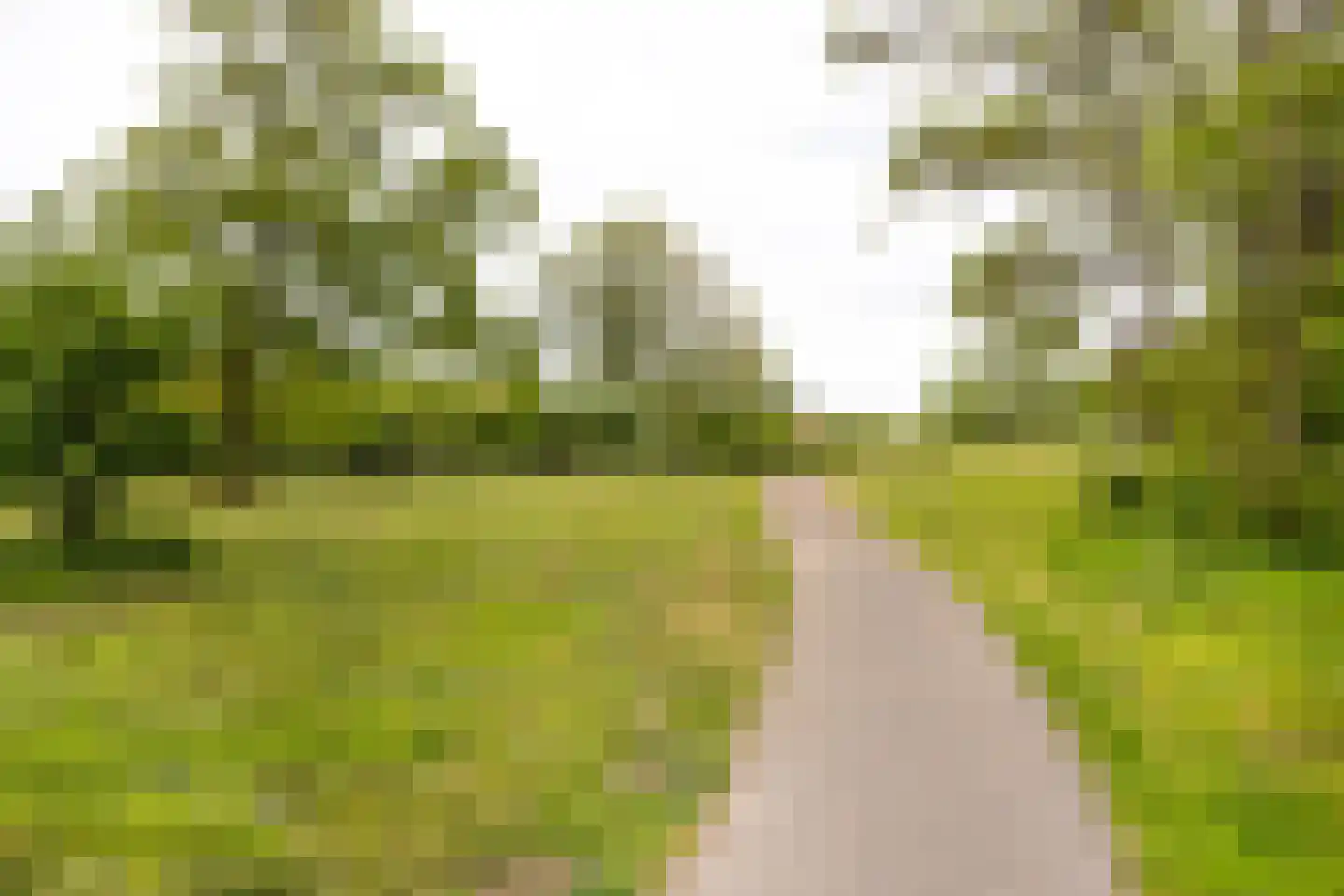 Ahornstraat 13 IJmuiden thumbnail 30
