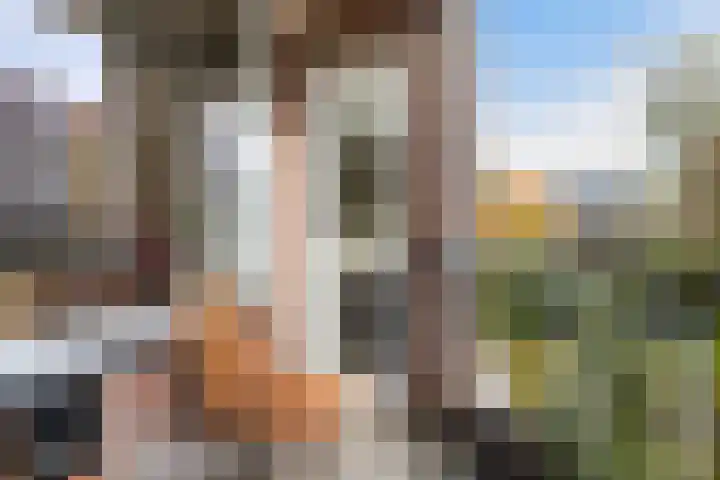 Ahornstraat 16 1 Utrecht thumbnail 17