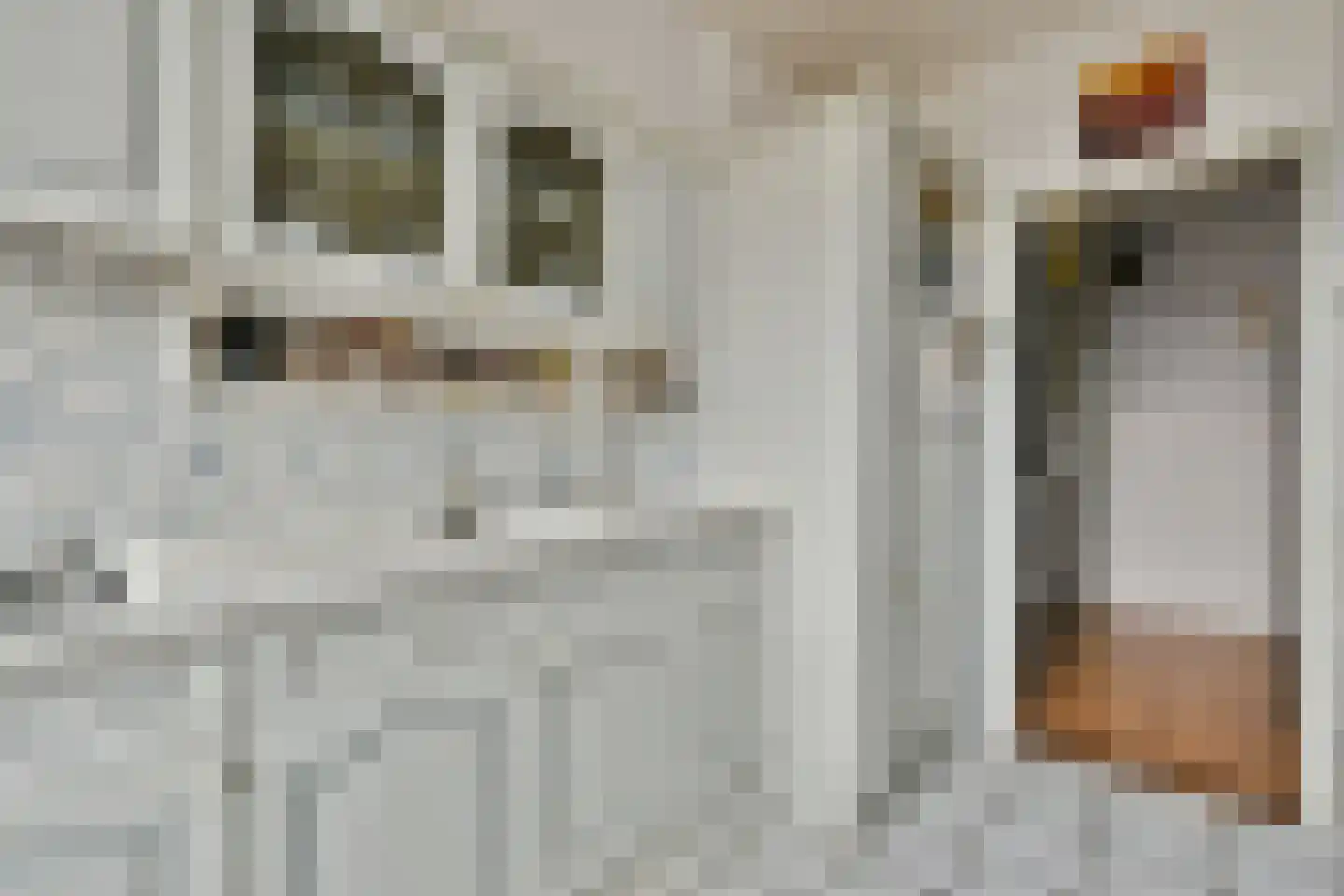 Ahornstraat 18 2 Utrecht thumbnail 18