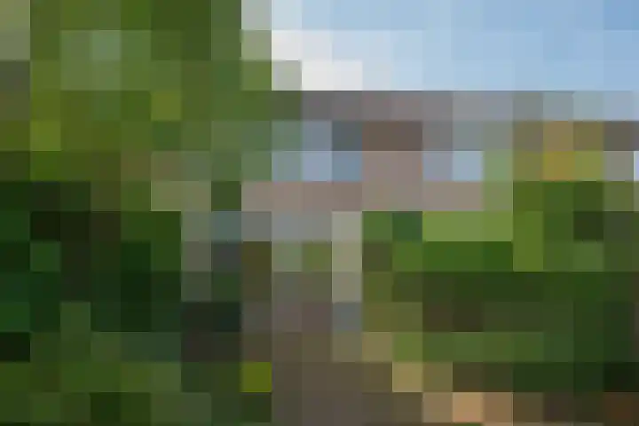 Ahornstraat 21 Winterswijk thumbnail 32