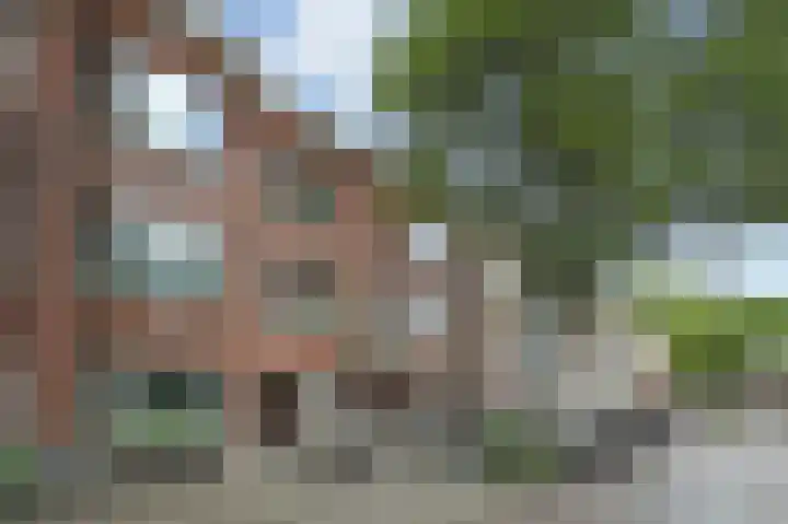 Ahornstraat 23 Den Haag thumbnail 27