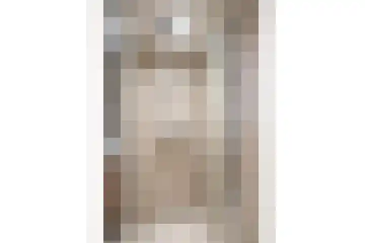 Ahornstraat 24 2 Utrecht thumbnail 20