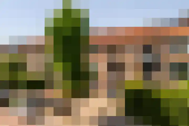 Ahornstraat 26 2 Utrecht thumbnail 8