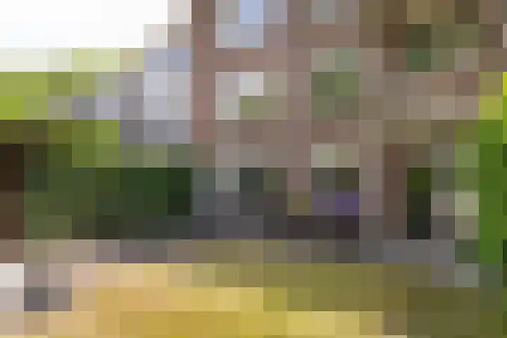 Ahornstraat 28 Utrecht thumbnail 34