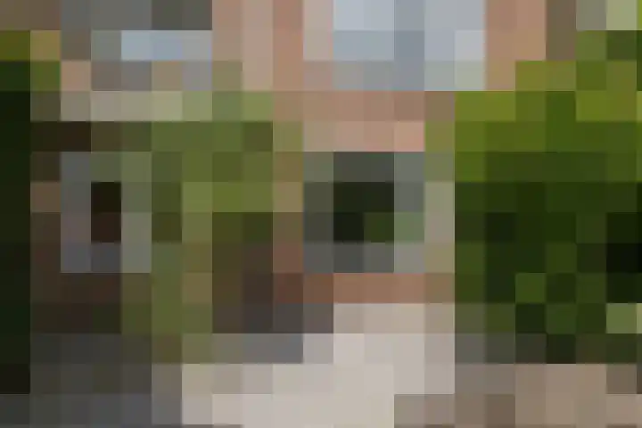 Ahornstraat 28 Utrecht thumbnail 40