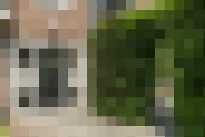 Ahornstraat 28 Utrecht thumbnail 8