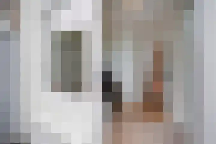 Ahornstraat 32 Den Haag thumbnail 33