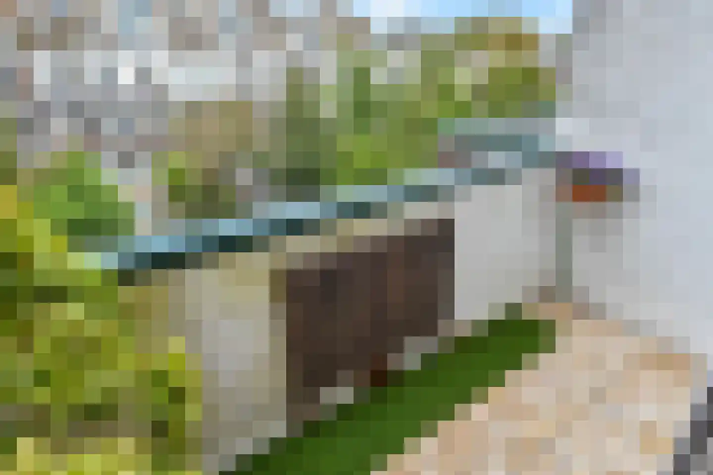 Ahornstraat 33 Den Haag thumbnail 36