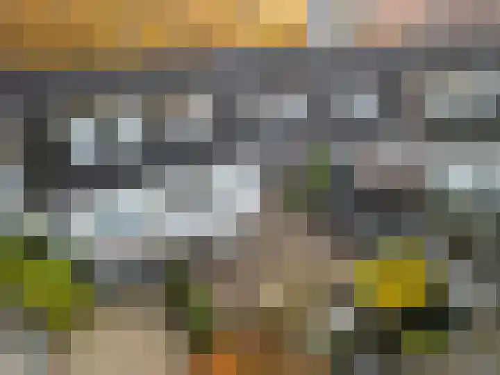 Ahornstraat 48 Utrecht thumbnail 18