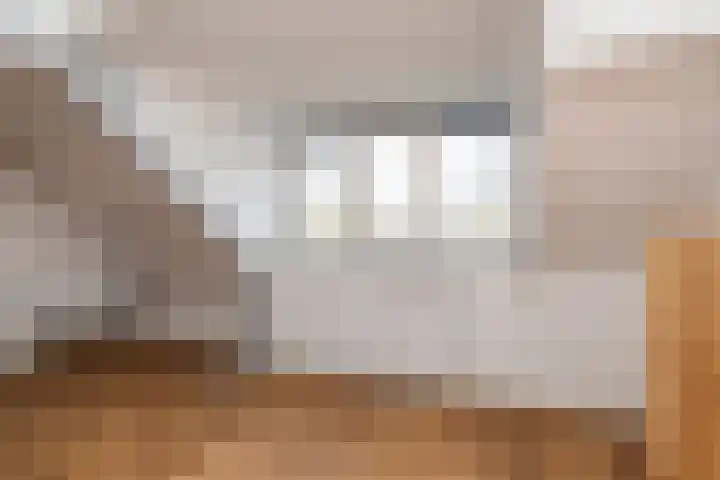 Ahornstraat 48 Utrecht thumbnail 27