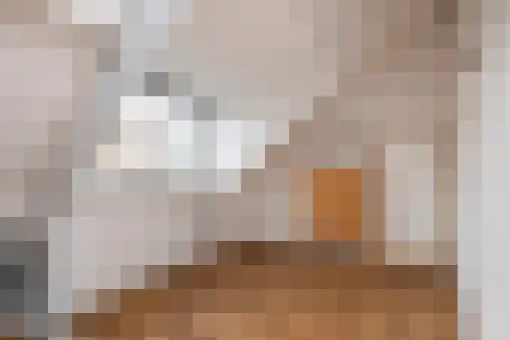 Ahornstraat 48 Utrecht thumbnail 29