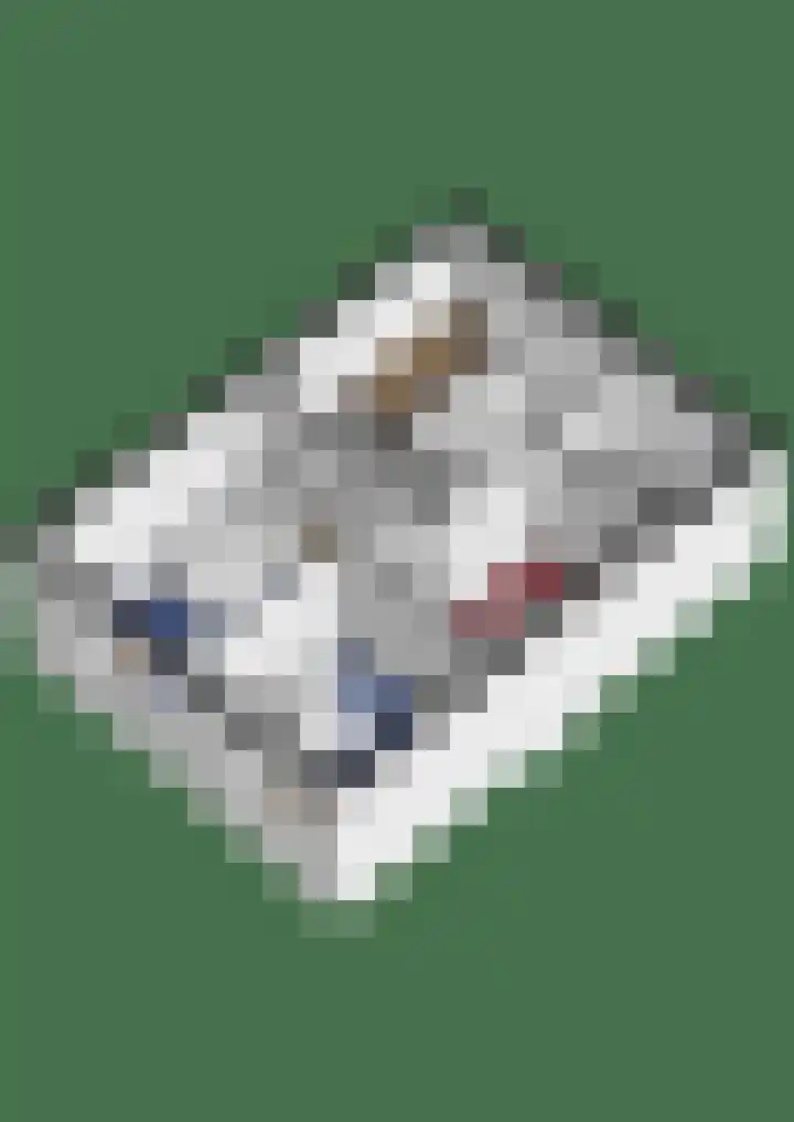 Ahornstraat 50 Breda thumbnail 31