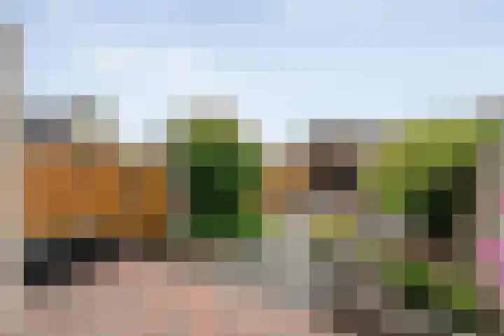 Ahornstraat 52 Lutten thumbnail 27