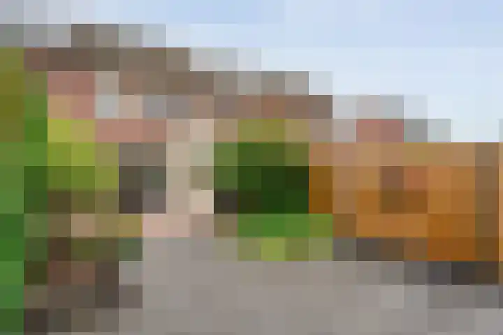 Ahornstraat 52 Lutten thumbnail 32