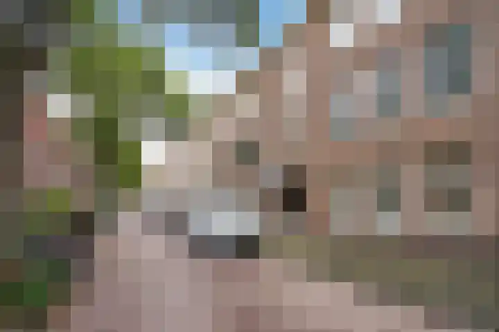 Ahornstraat 54 Den Haag thumbnail 4