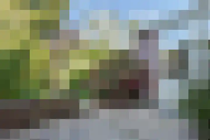 Ahornstraat 73 Den Haag thumbnail 15