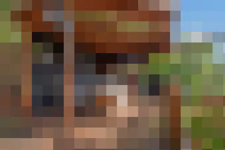 Ahornzoom 2 Zoetermeer thumbnail 10
