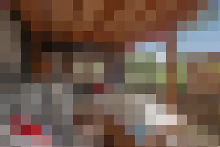 Ahornzoom 2 Zoetermeer thumbnail 11