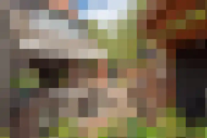 Ahornzoom 2 Zoetermeer thumbnail 13