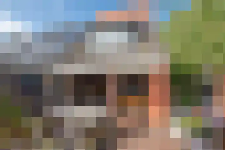 Ahornzoom 2 Zoetermeer thumbnail 14