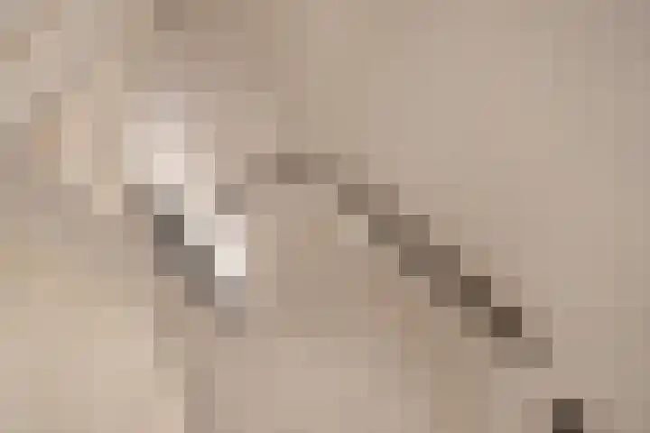Ahornzoom 2 Zoetermeer thumbnail 23
