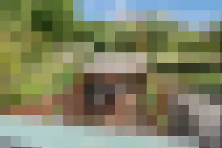Ahornzoom 2 Zoetermeer thumbnail 25