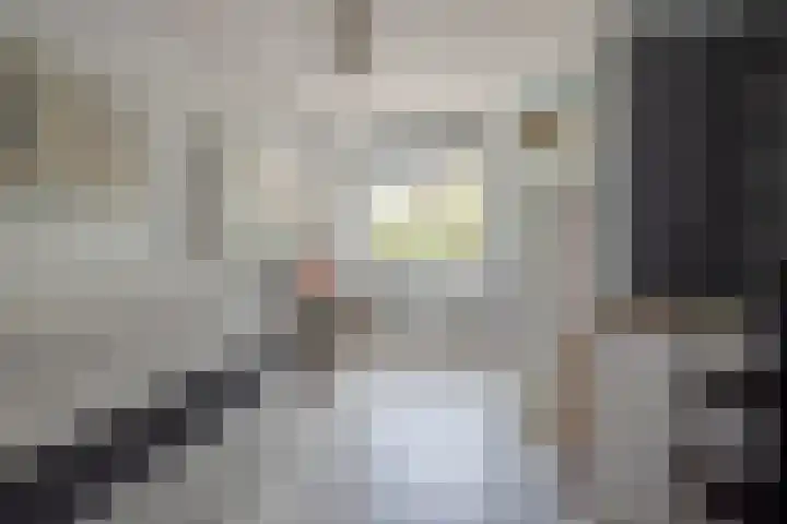 Ahornzoom 2 Zoetermeer thumbnail 33