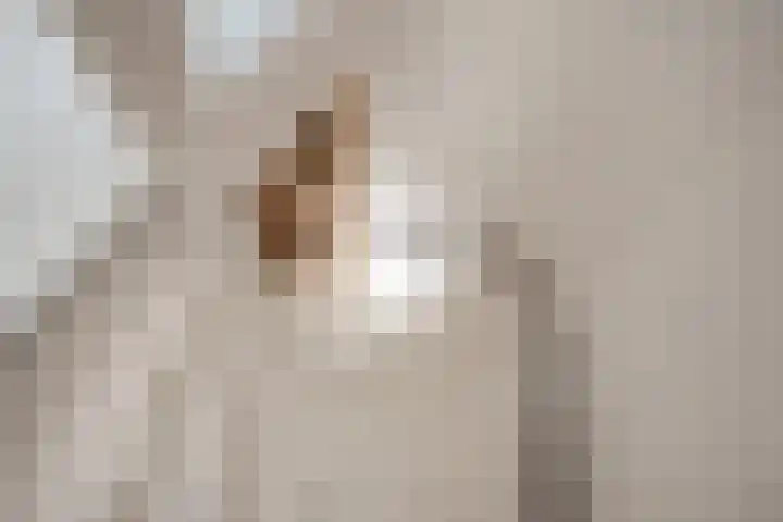 Ahornzoom 2 Zoetermeer thumbnail 35