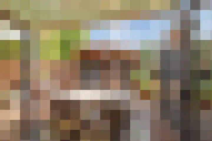 Ahornzoom 2 Zoetermeer thumbnail 5