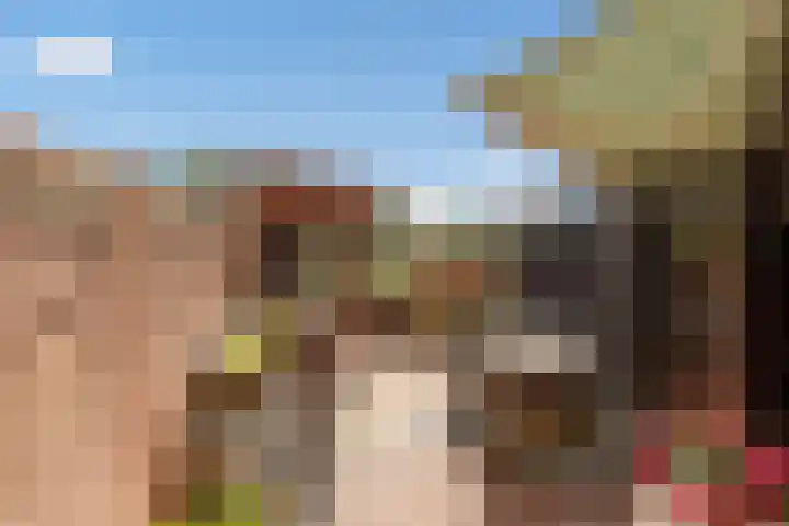 Ahornzoom 2 Zoetermeer thumbnail 9