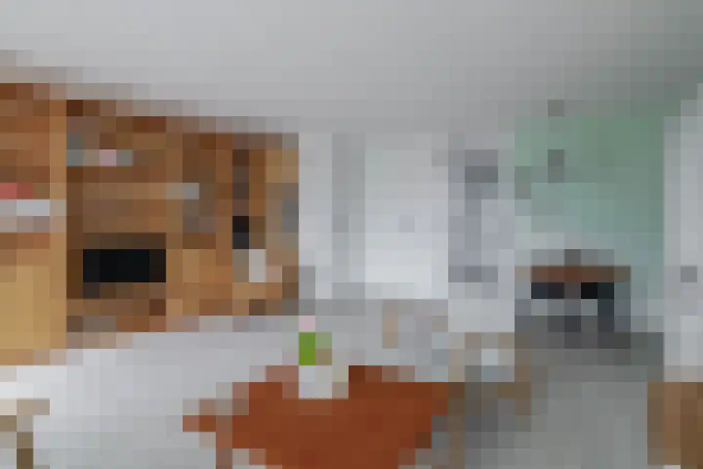 Ahornzoom 72 Zoetermeer thumbnail 13