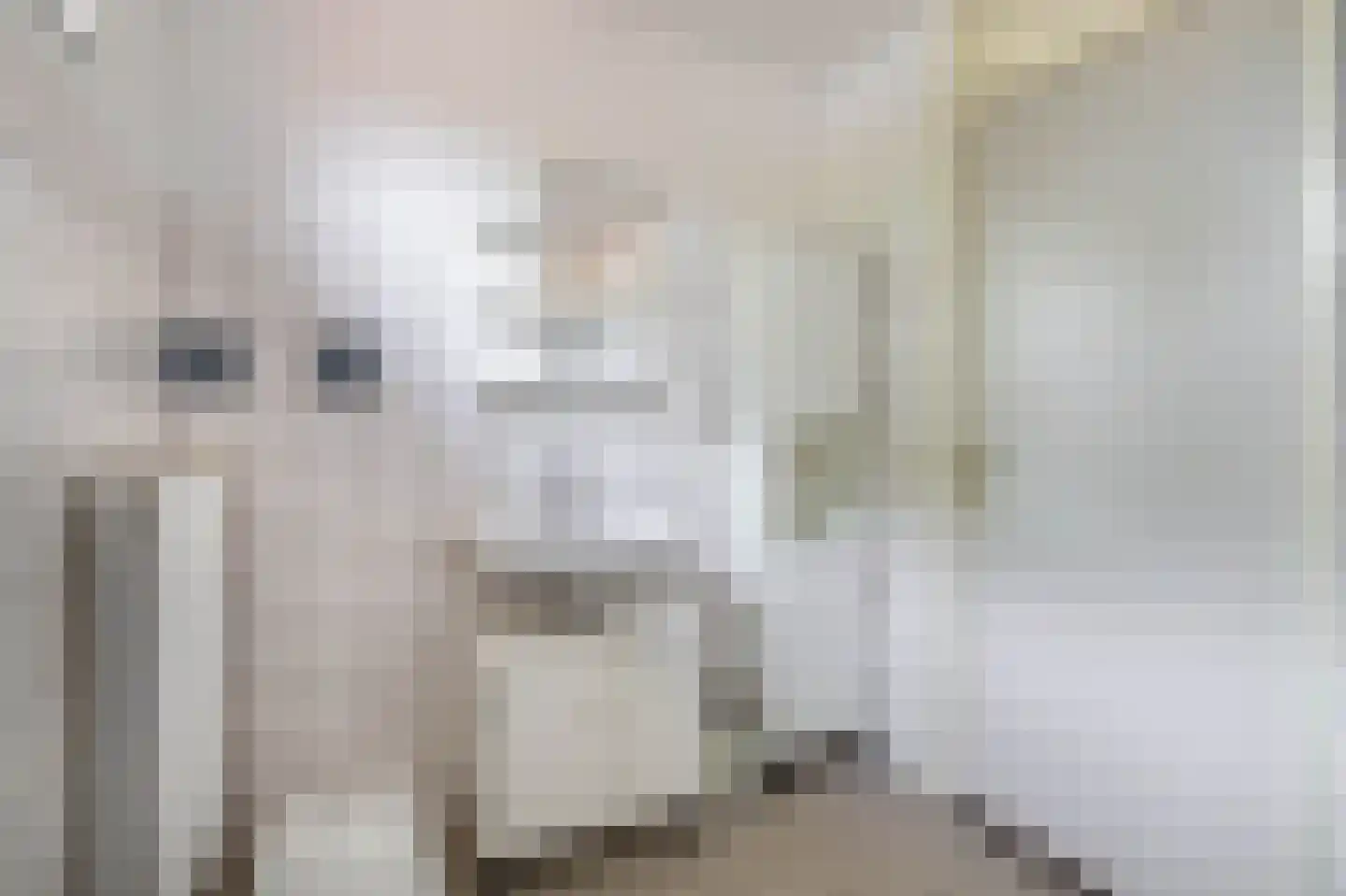 Ahornzoom 72 Zoetermeer thumbnail 27