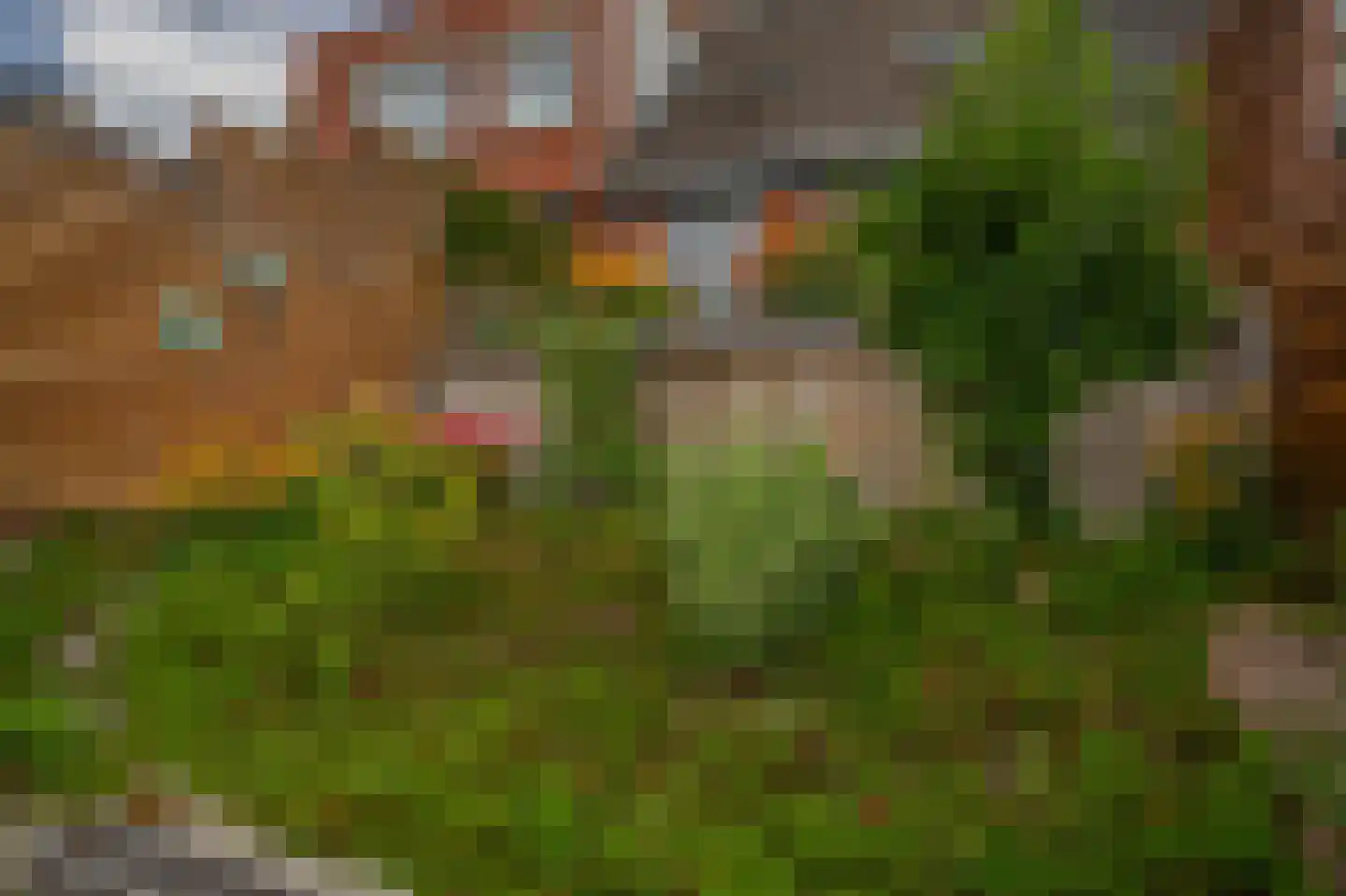 Ahornzoom 72 Zoetermeer thumbnail 39