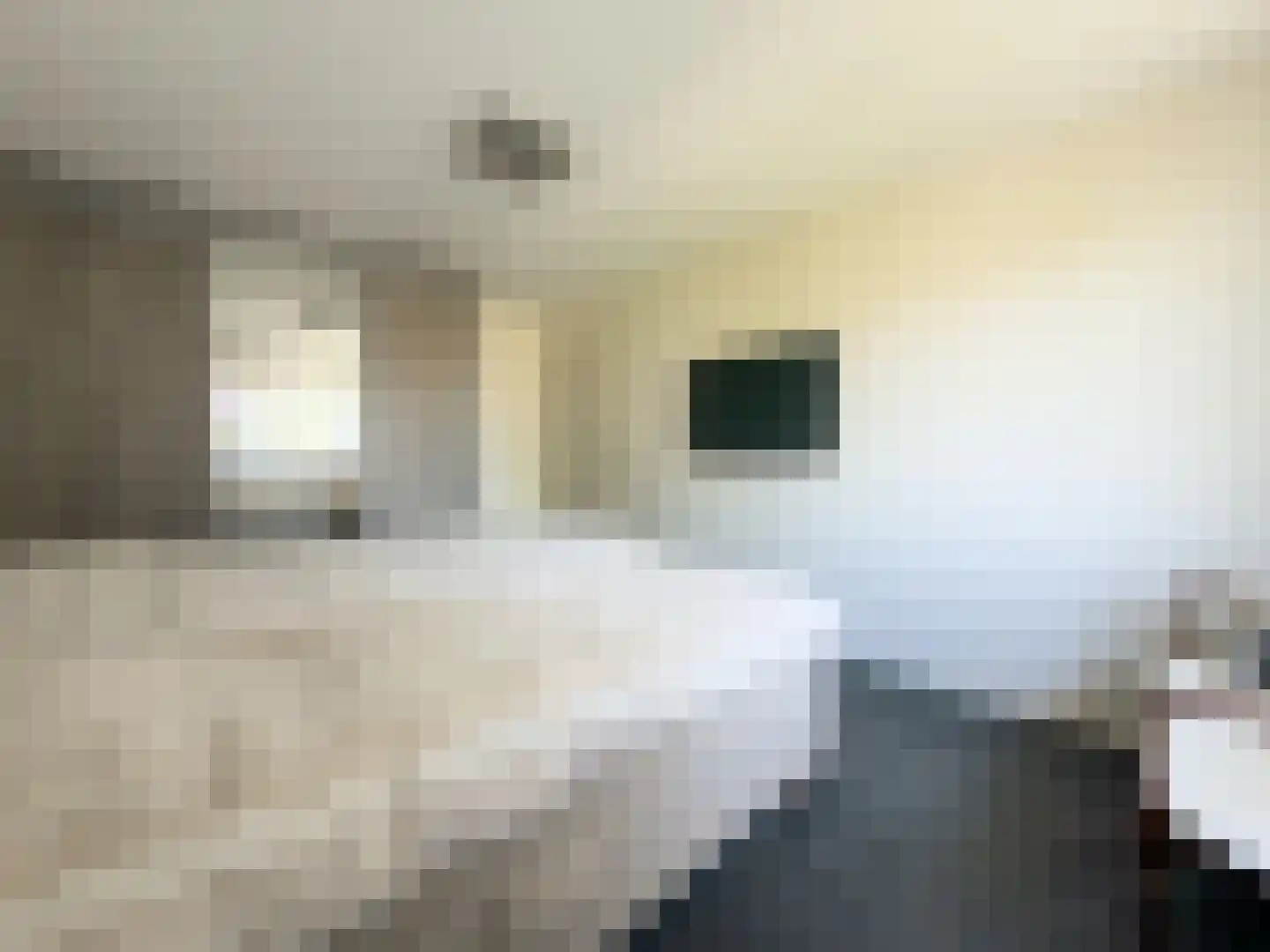 Ahrdal 10 Capelle aan den IJssel thumbnail 17