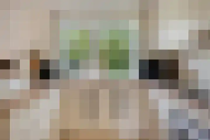 Ahrdal 28 Capelle aan den IJssel thumbnail 12
