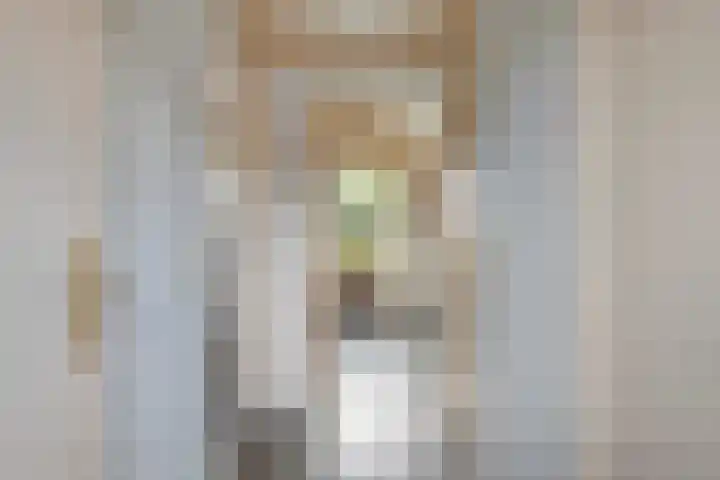 Ahrdal 28 Capelle aan den IJssel thumbnail 17
