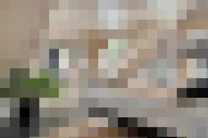 Ahrdal 28 Capelle aan den IJssel thumbnail 18