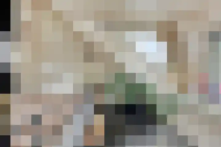 Ahrdal 28 Capelle aan den IJssel thumbnail 20