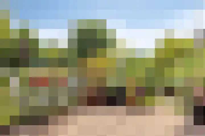 Ahrdal 28 Capelle aan den IJssel thumbnail 26