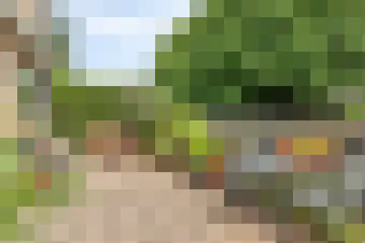Ahrdal 28 Capelle aan den IJssel thumbnail 27
