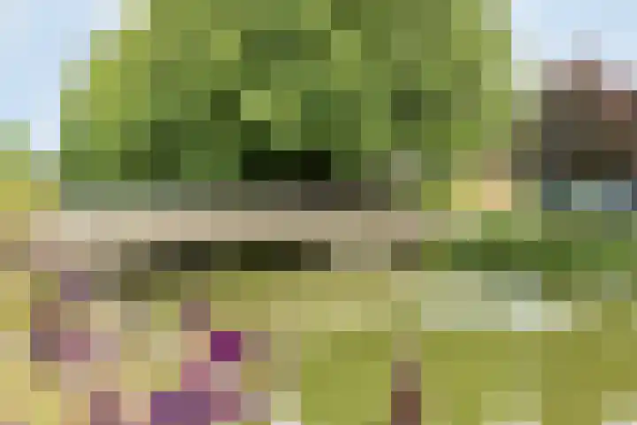 Ahrdal 28 Capelle aan den IJssel thumbnail 28